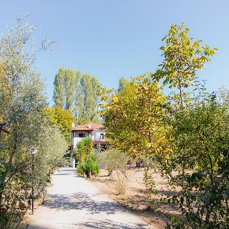 Diamond Farm Villa Kala Nera Exteriér fotografie
