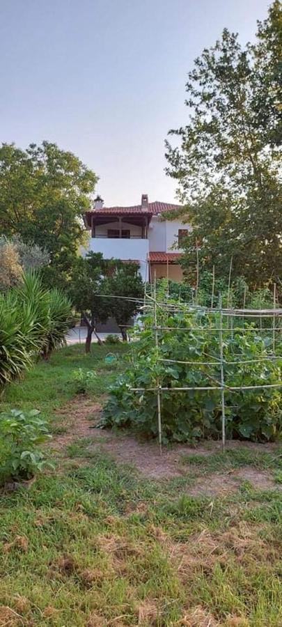 Diamond Farm Villa Kala Nera Exteriér fotografie