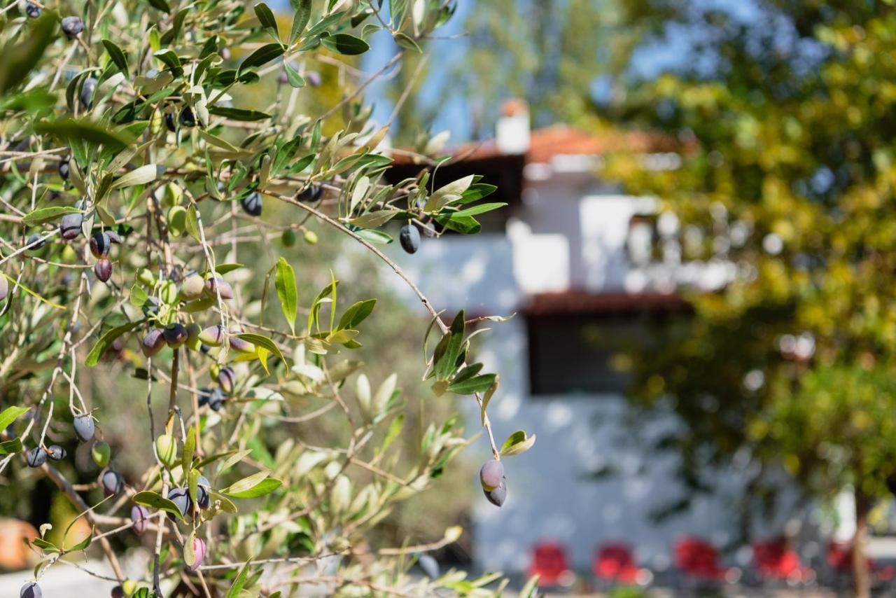Diamond Farm Villa Kala Nera Exteriér fotografie